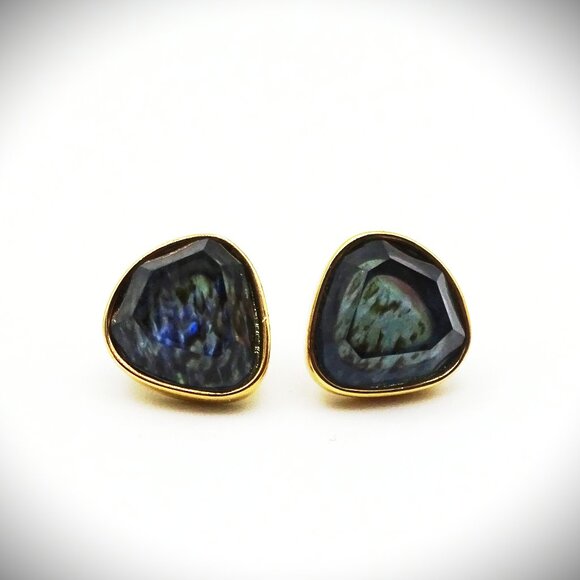 TRINA TURK Gold Plated Abalone Shell Doublet Stud Earrings - Picture 1 of 6